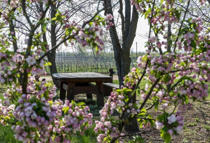 فندق Bikavölgyi Panzió