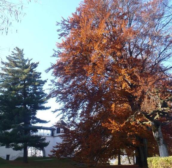 فندق & Caffe Silesia