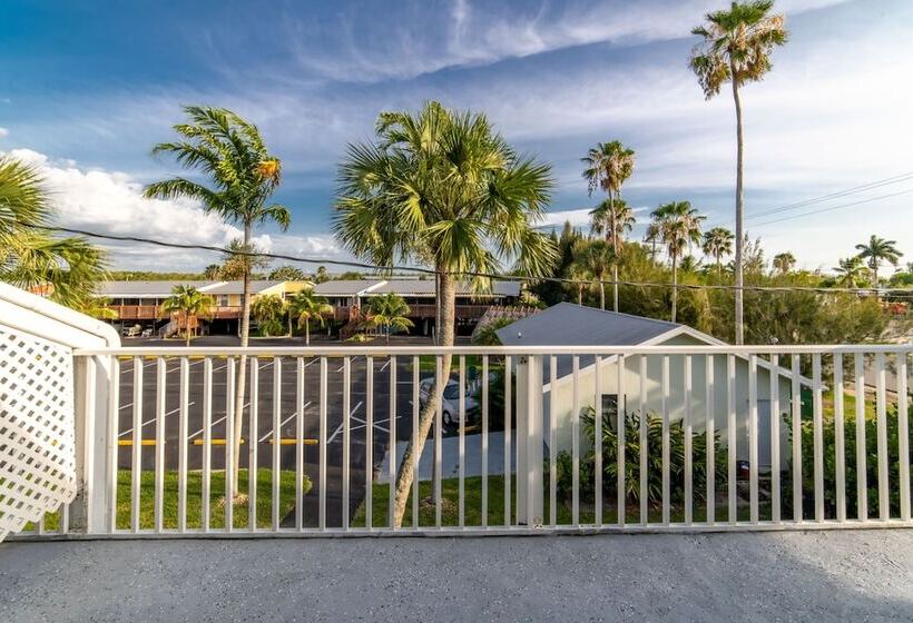 Captain S Table Hotel By Everglades Adventures