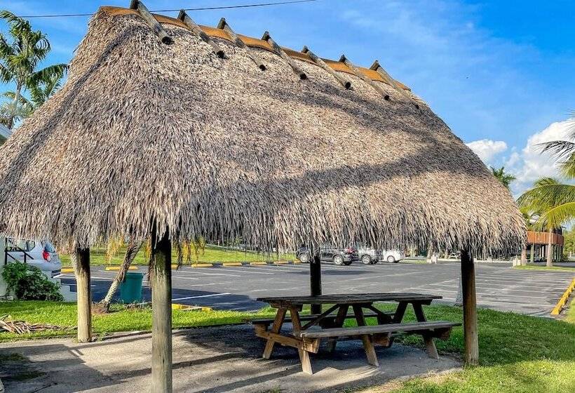 Captain S Table Hotel By Everglades Adventures