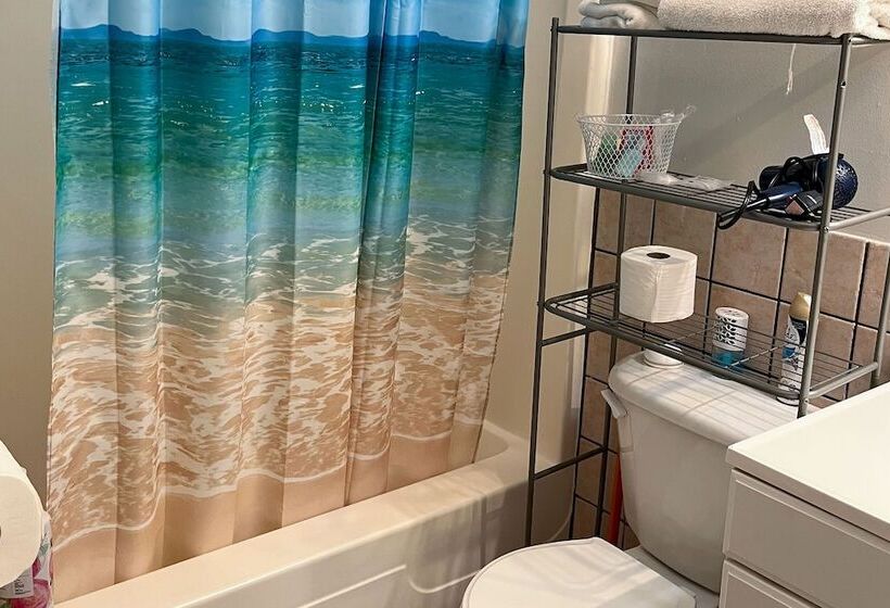 Captain S Table Hotel By Everglades Adventures