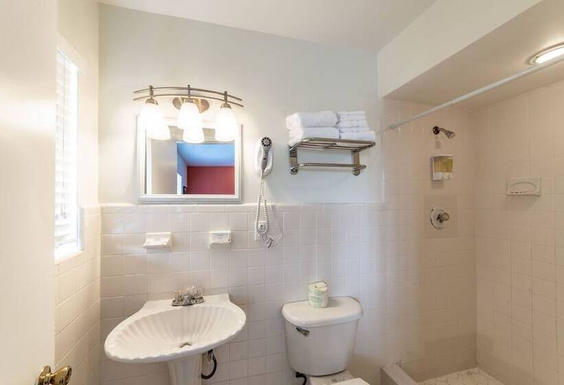 Captain S Table Hotel By Everglades Adventures