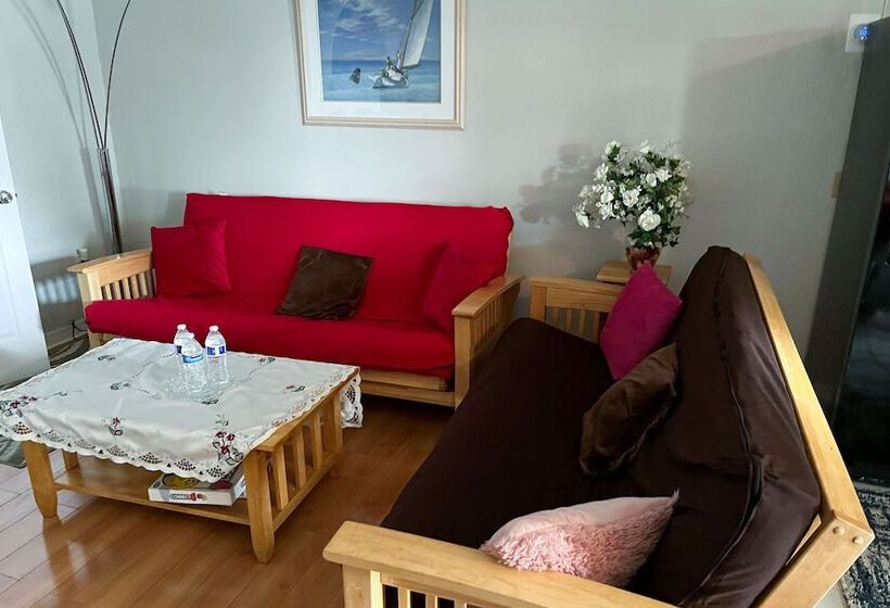 Captain S Table Hotel By Everglades Adventures