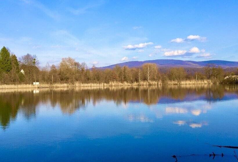 בית מלון כפרי Dubky