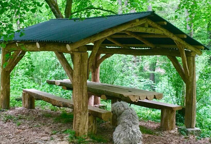 בית מלון כפרי Dubky