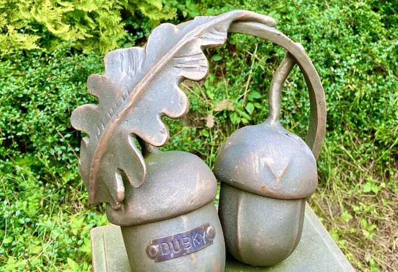 בית מלון כפרי Dubky