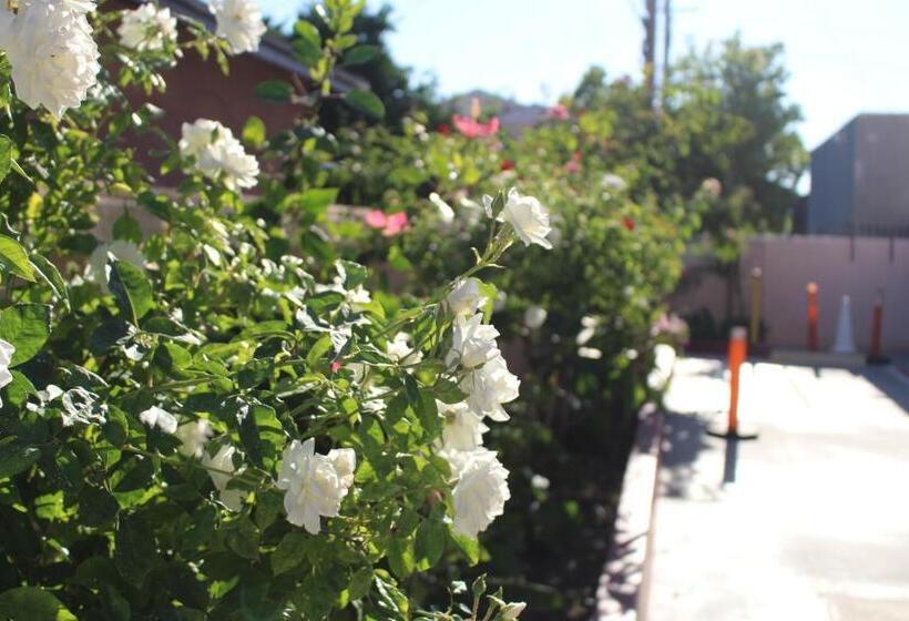 فندق Erth Inn By Aga Maywood