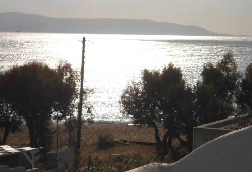 בית מלון כפרי Free Sun Rooms And Apartments