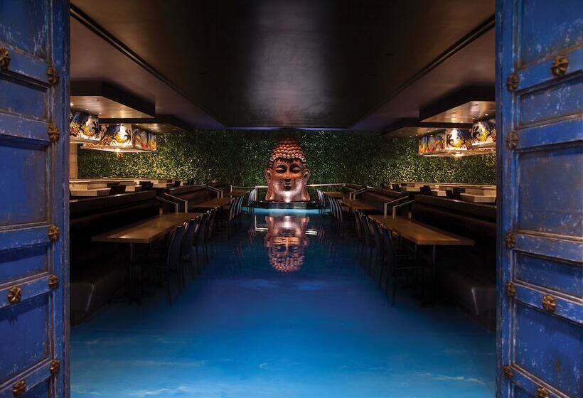 Hard Rock Hotel Riviera Maya   All Inclusive