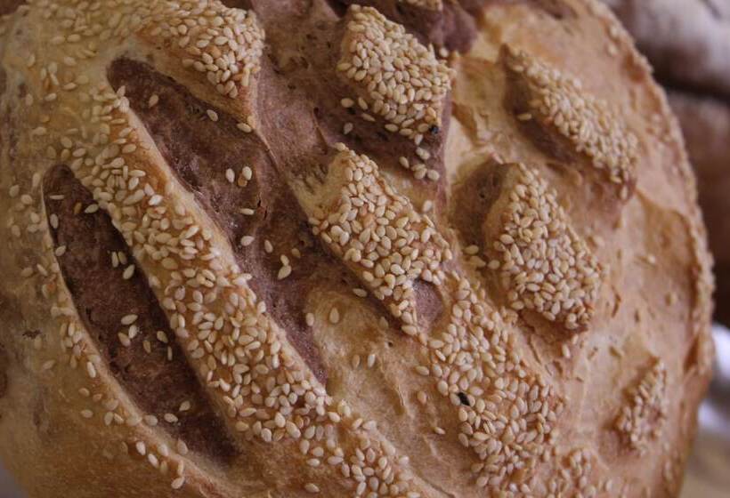 هتل Horizon Shahrazad