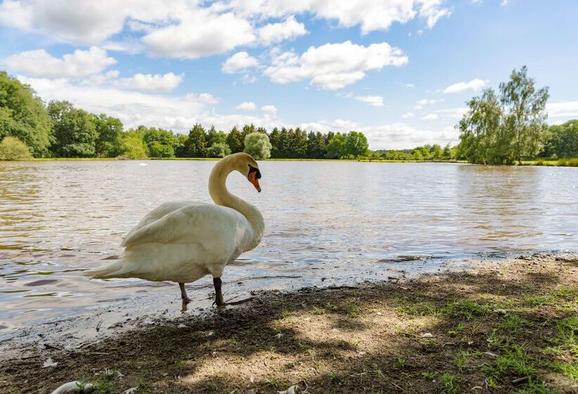فندق L Orée Des Chênes, The Originals Relais