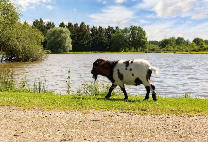 فندق L Orée Des Chênes, The Originals Relais
