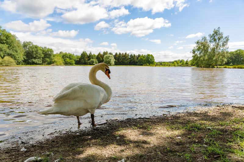 فندق L Orée Des Chênes, The Originals Relais