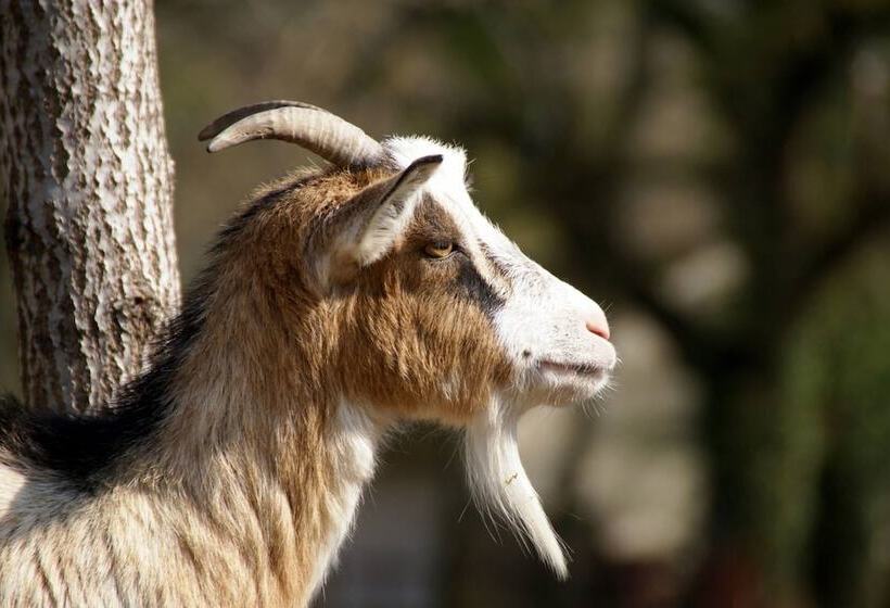 فندق L Orée Des Chênes, The Originals Relais
