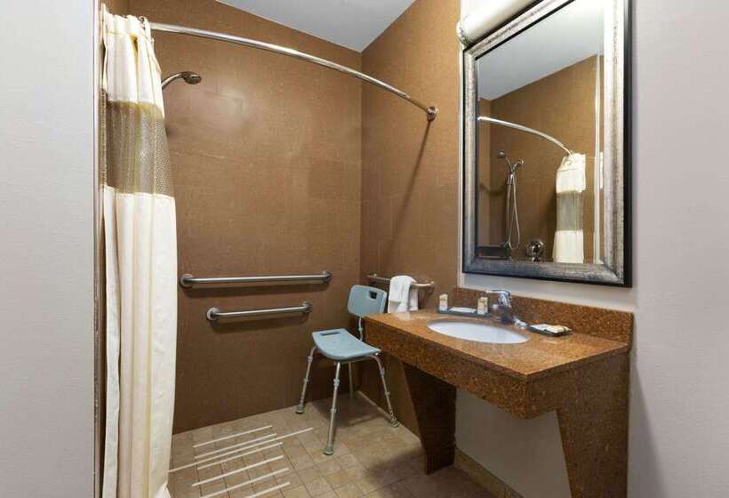 酒店 La Quinta By Wyndham Alvin