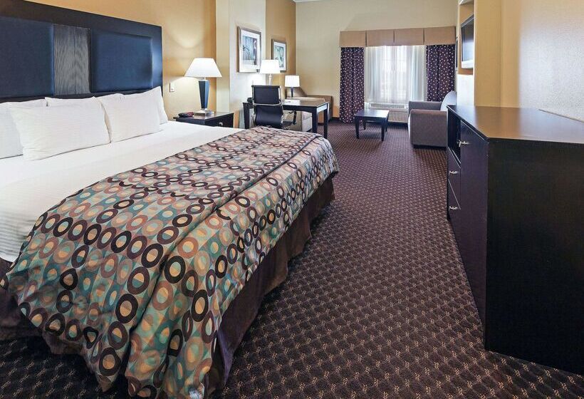 酒店 La Quinta By Wyndham Alvin