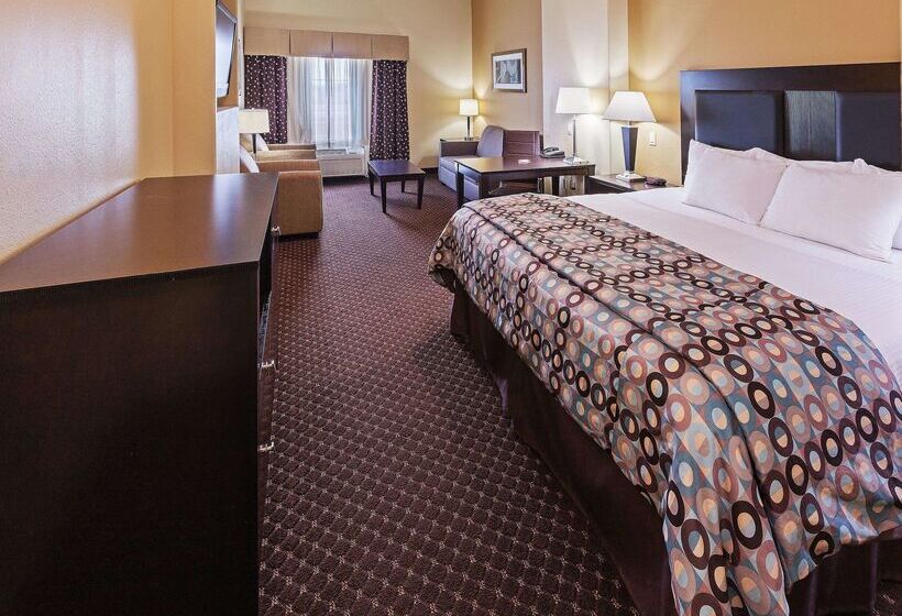 酒店 La Quinta By Wyndham Alvin