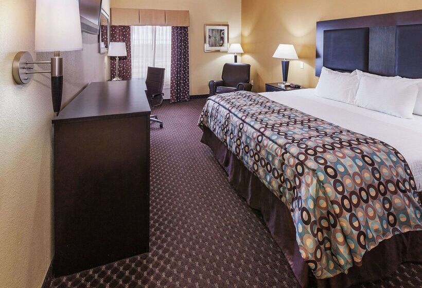 酒店 La Quinta By Wyndham Alvin