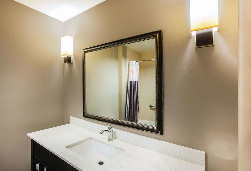 هتل La Quinta By Wyndham Baton Rouge Denham Springs