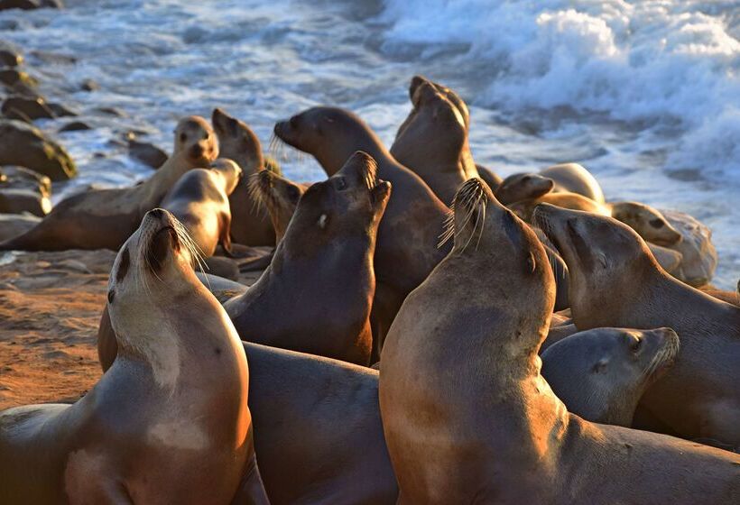 ホテル The Originals Hôtel Le Cise Restaurant Chambres Et Suites