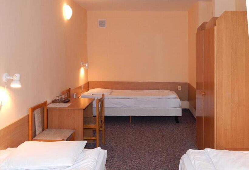 בית מלון כפרי Rok