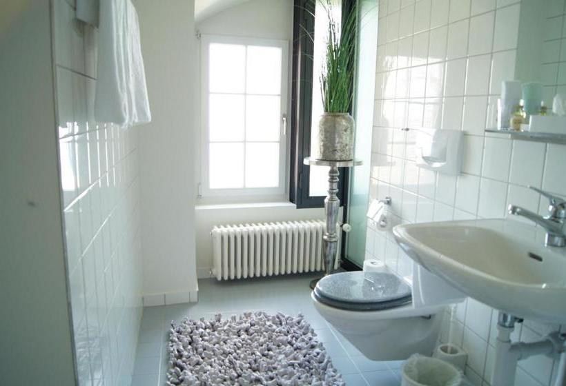 فندق Schloss Wartensee