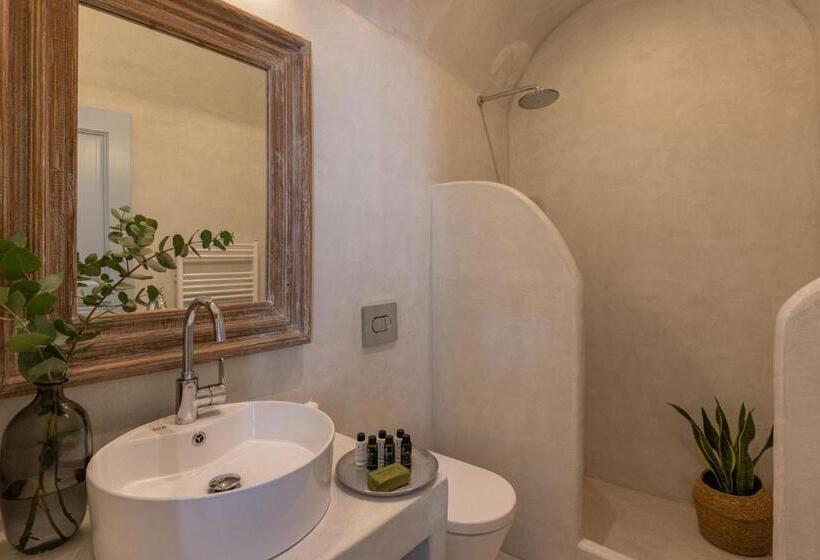 هتل Spitia Santorini Villa Collection