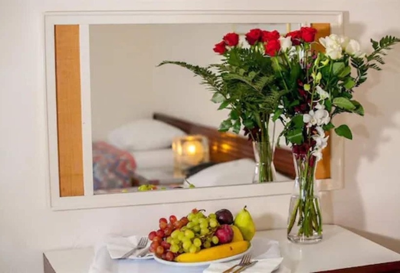 Отель Theoxenia