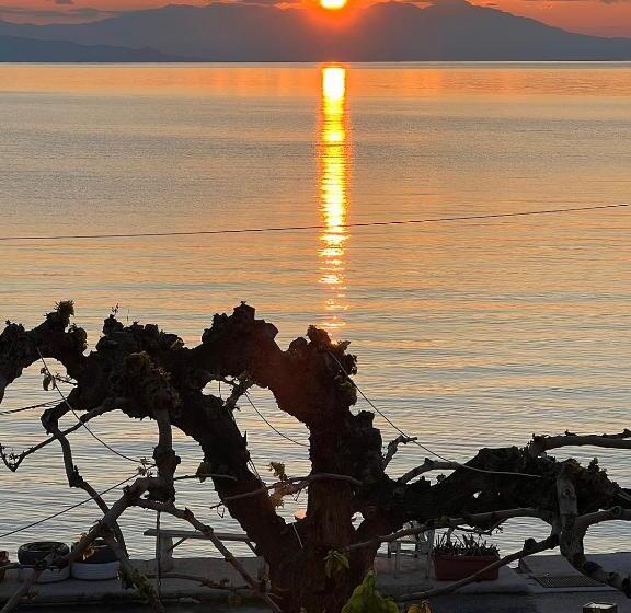 Panorama Hotel   Restaurant