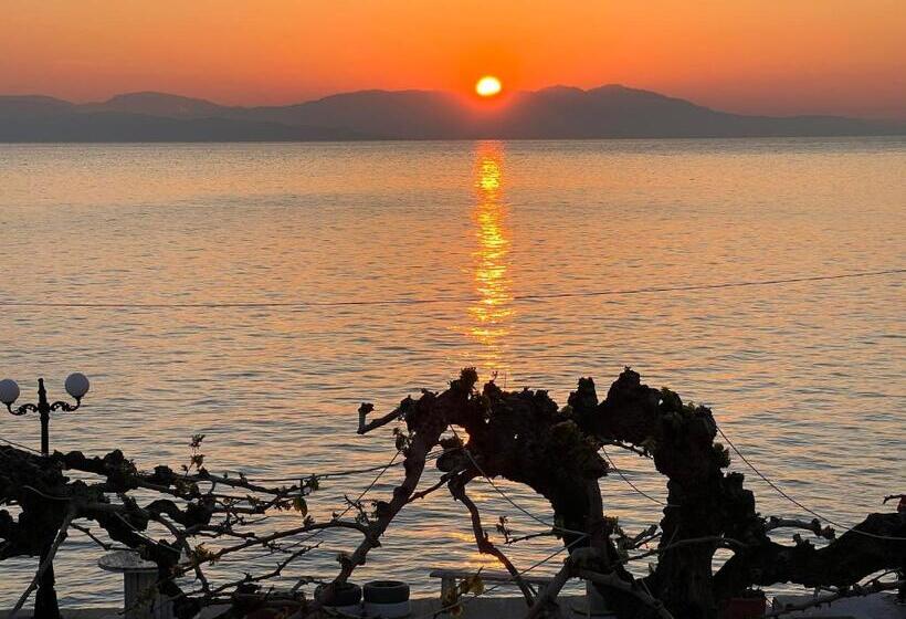 Panorama Hotel   Restaurant