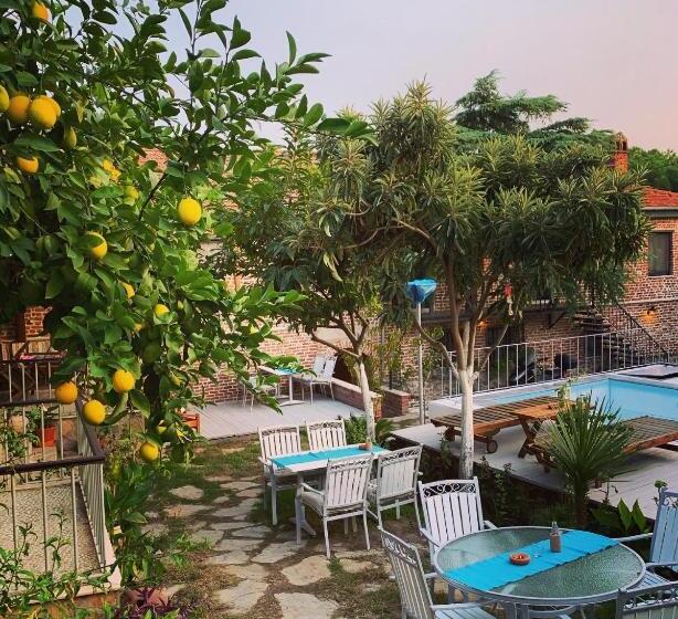 بنسيون Akropolis Guest House