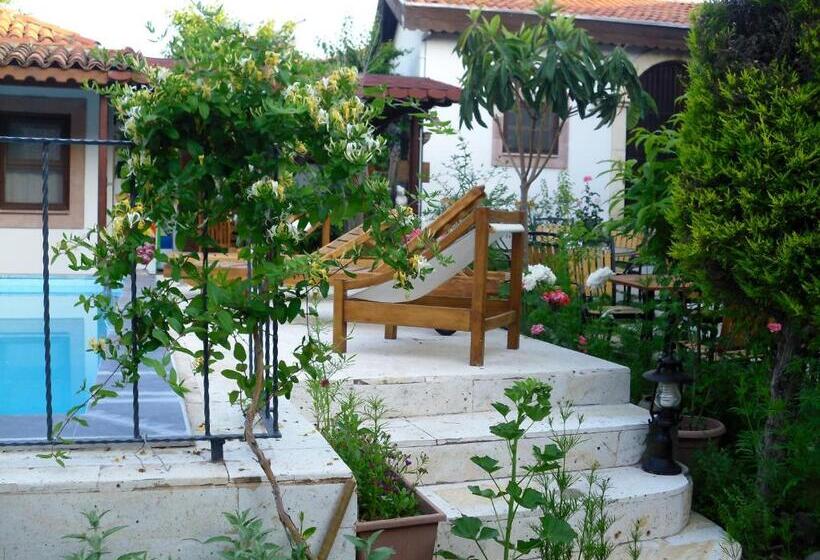פנסיון Akropolis Guest House