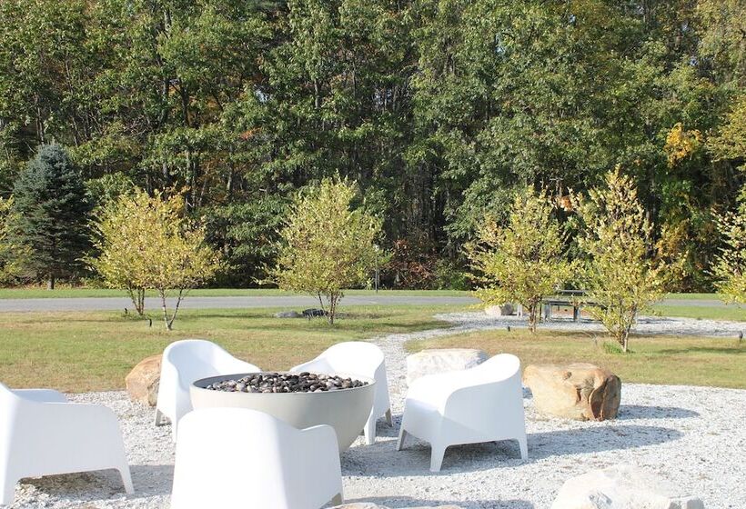 汽车旅馆  The Little Lion