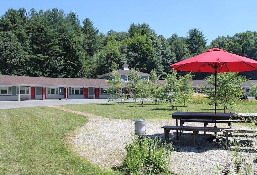 汽车旅馆  The Little Lion