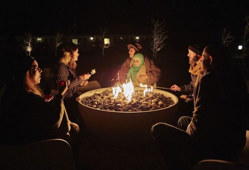 汽车旅馆  The Little Lion