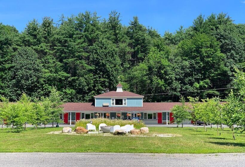 汽车旅馆  The Little Lion