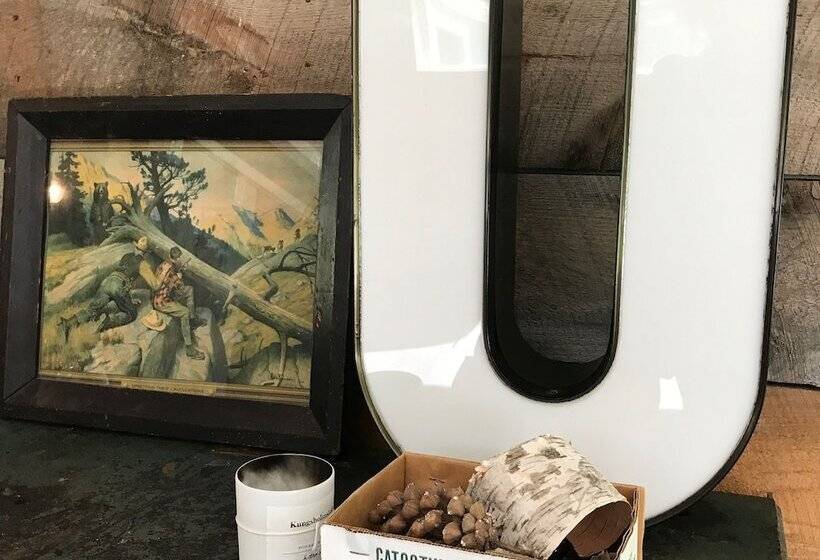 汽车旅馆  The Little Lion