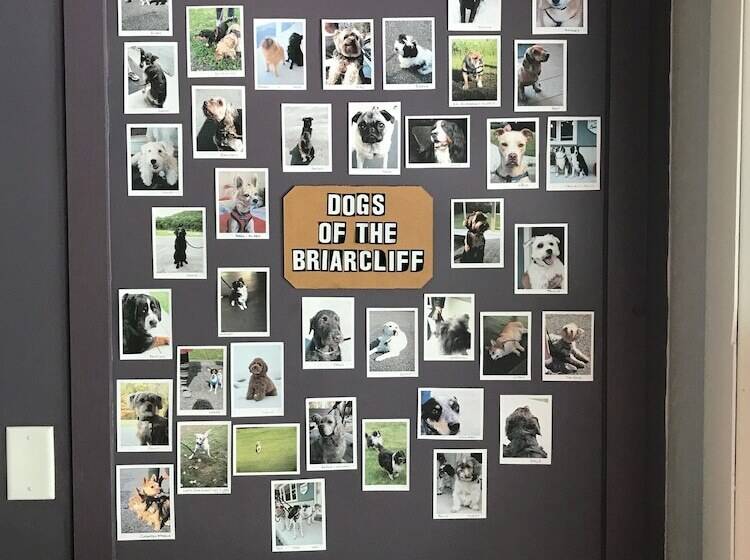 汽车旅馆  The Little Lion