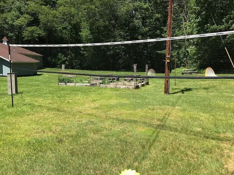 汽车旅馆  The Little Lion