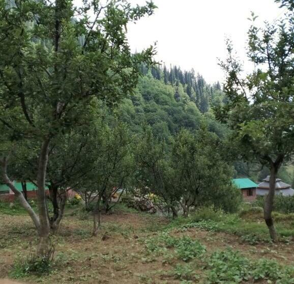 Bed and Breakfast Divya Apple Garden Guest House