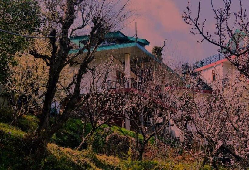 ベッドアンドブレックファースト Orchid Homestay