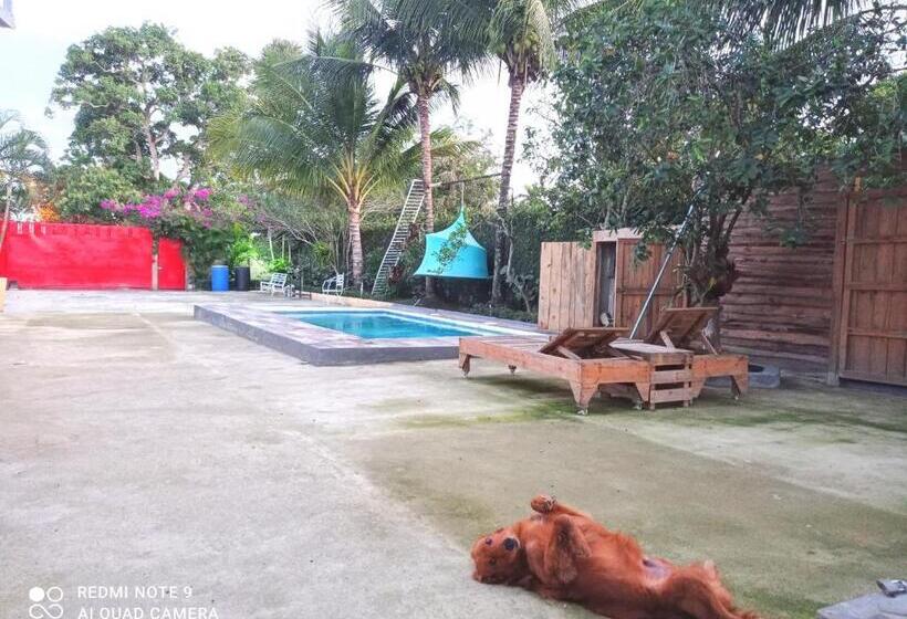 تختخواب و صبحانه Paraiso Hortensia Ecolodge