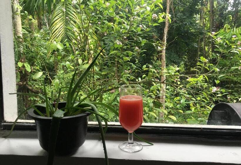 Bed and Breakfast Pilimathalawa Eco Lodge And Hostel