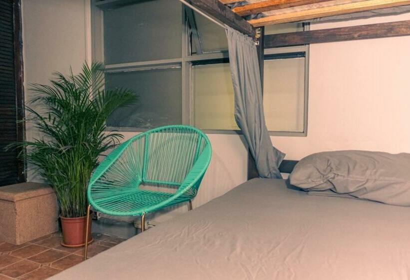 Chillout Hostel Barrio Escalante