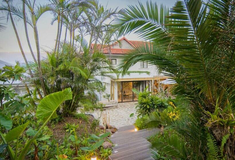 Отель Sala Beach House