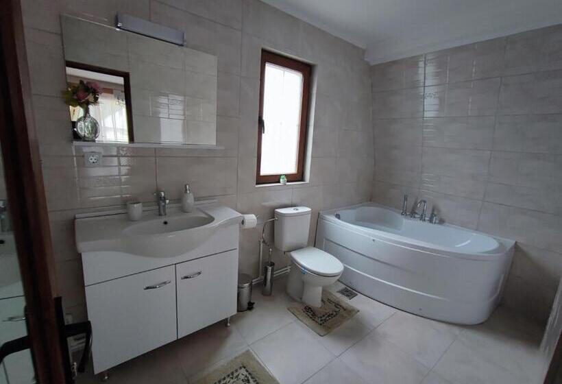 بنسيون Casa De Vacanta Estera Rucar