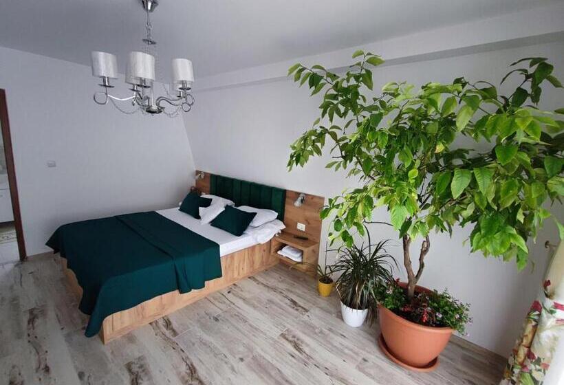 بنسيون Casa De Vacanta Estera Rucar