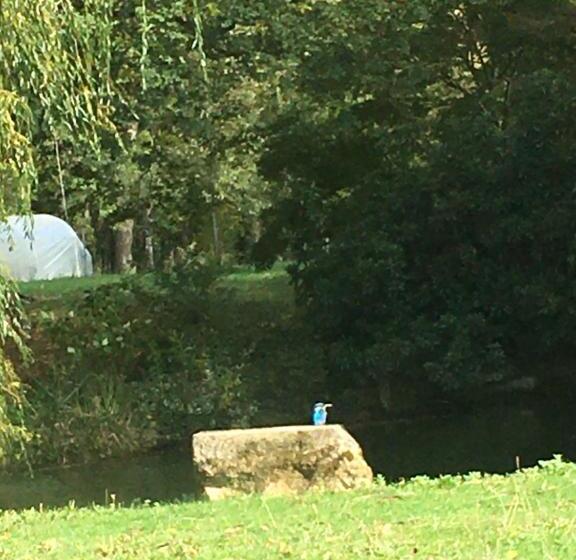 بنسيون Moulin De Boiscorde Au Cœur Du Perche 1h45 De Paris