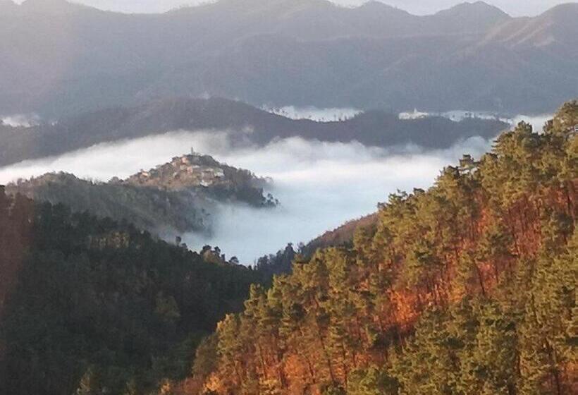 膳宿费 Geckos House