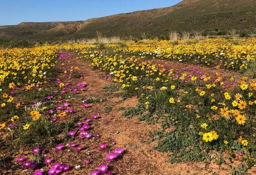 بنسيون Iziba Principality